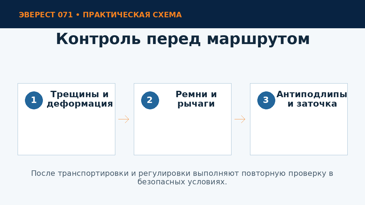 Осмотр кошек перед маршрутом